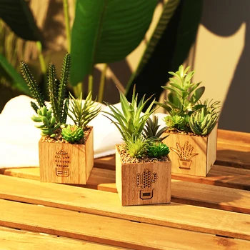 Artificial De Plantas Verdes Falso Suculentas Bonsai Panelas Conjunto Com Luz Para A Sala De Casa Desktop Jardim Decoração De Natal Acessórios