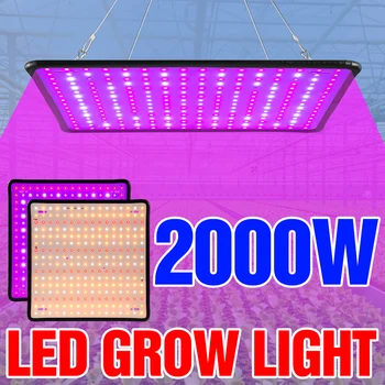 Espectro completo 2000W LED Cresce a Luz 220V Fito Lâmpada de emissões de gases de efeito Planta de Bulbo de Lâmpada Para o Interior Crescer Flor de Mudas, Crescimento de Iluminação
